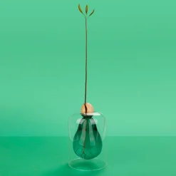 Balvi Tableware Brands^Avocado Seed Glass Vase
