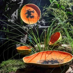 Bordallo Pinheiro Table Setting|Serveware^Tropical Fruits Papaya Serving Platter, 35x23cm