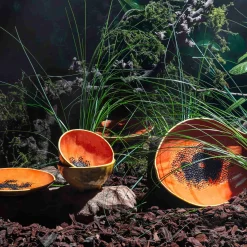 Bordallo Pinheiro Crockery & Dinnerware|Bowls^Tropical Fruits Papaya Small Bowl, 14x14cm