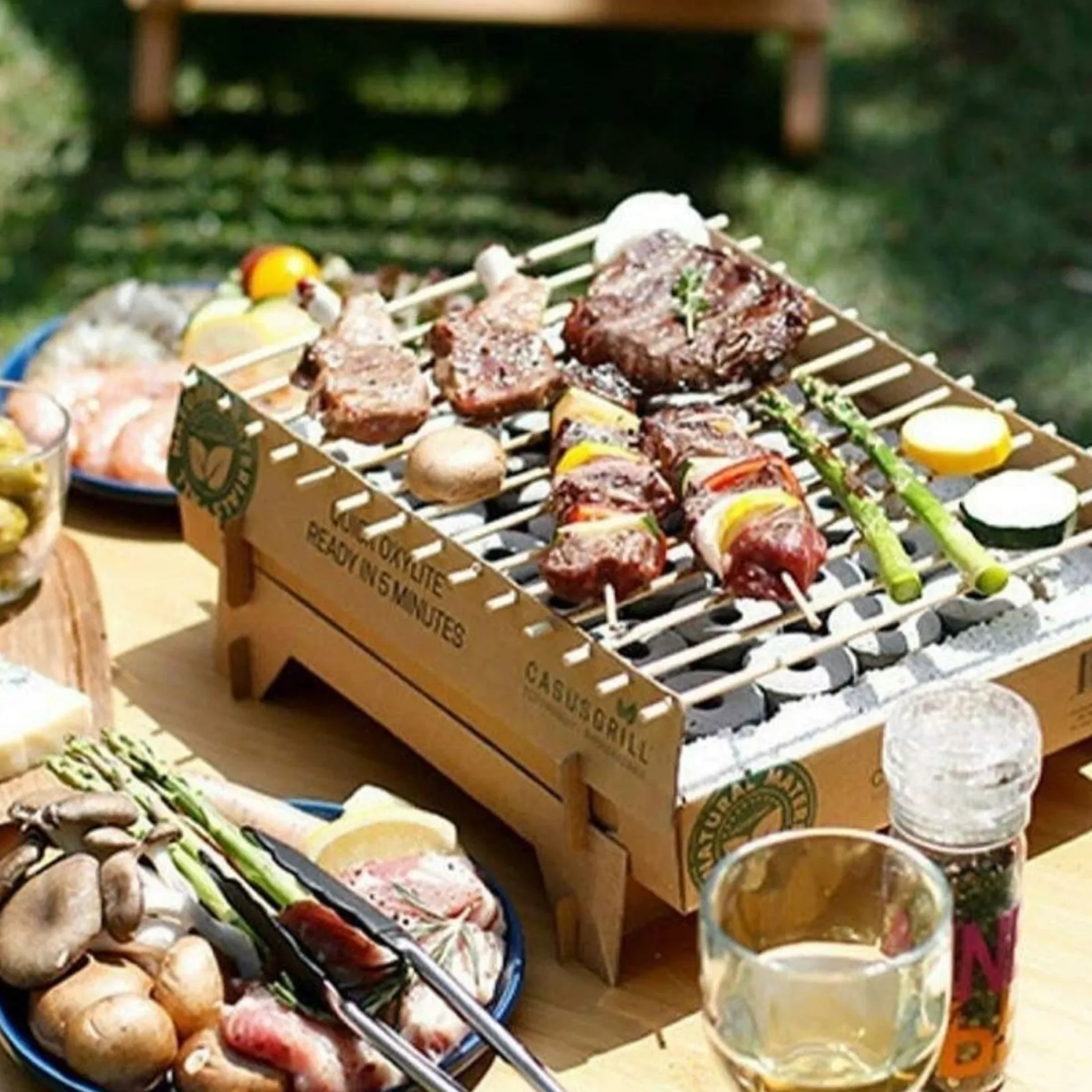 Casus Grills Picnicware|Food Smokers^CasusGrill Disposable Eco BBQ