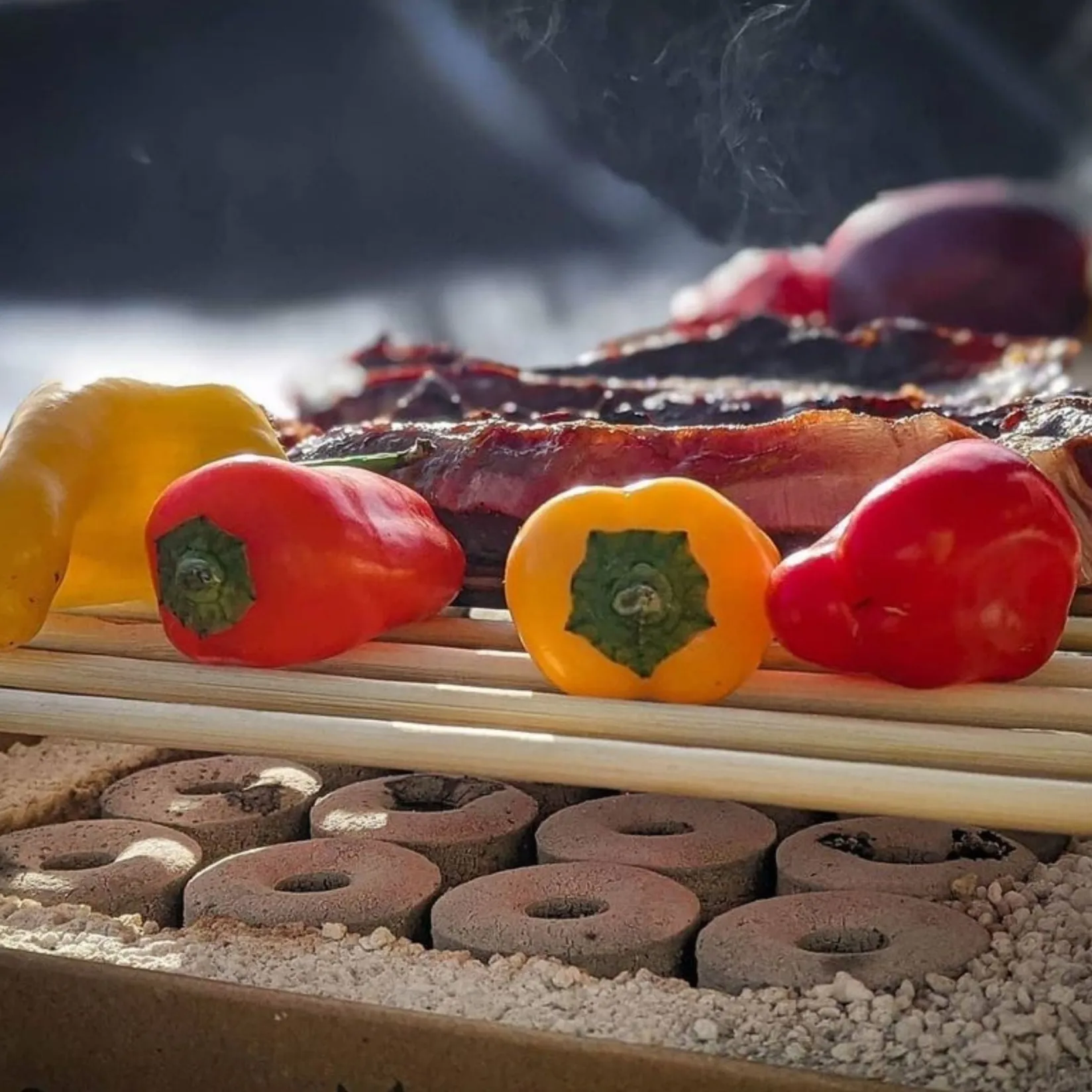 Casus Grills Picnicware|Food Smokers^CasusGrill Disposable Eco BBQ