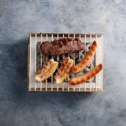 Casus Grills Picnicware|Food Smokers^CasusGrill Disposable Eco BBQ