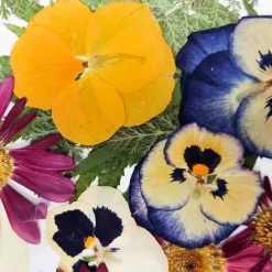 Sous Chef Ingredients Brands|Baking Ingredients^Edible Dried & Pressed Flower & Leaf Mix, 20 pieces