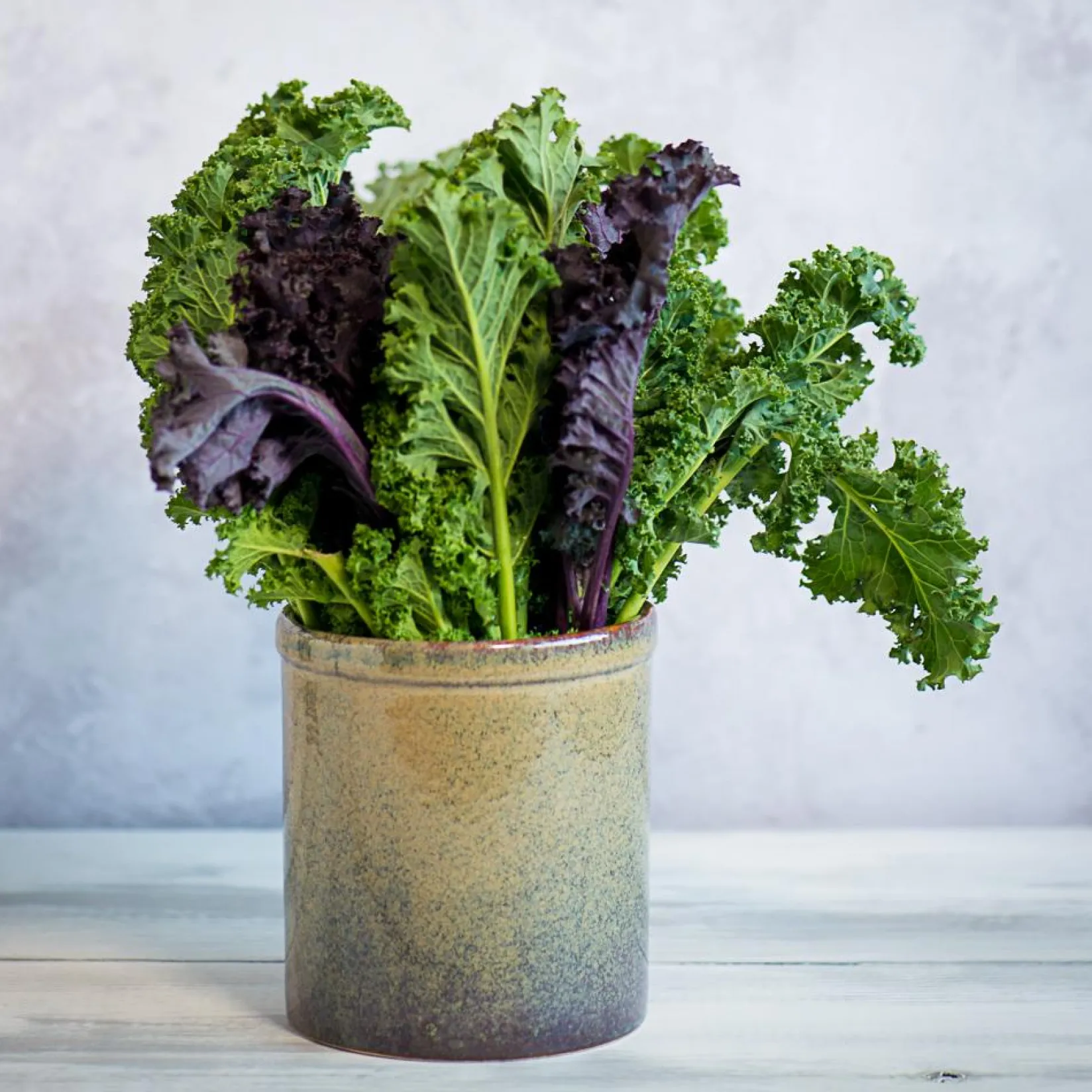 Ceramica Nicola Tableware Brands|Kitchen Tools & Utensils^Lagoa Kitchen Utensils Jar