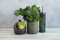 Ceramica Nicola Tableware Brands|Kitchen Tools & Utensils^Lagoa Kitchen Utensils Jar