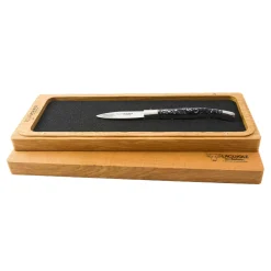 Laguiole en Aubrac Kitchen Knives^Mussel Shell Handle Oyster Knife