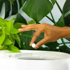 Lomi Kitchen Tools & Utensils^Microbe Pods