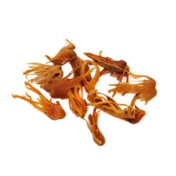 Centaur Ingredients Brands|Middle Eastern Ingredients^Mace Blades, 50g