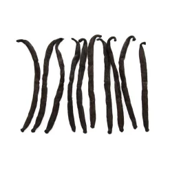 Sous Chef Herbs & Spices|Ingredients Brands^Madagascan Vanilla Pods x 10