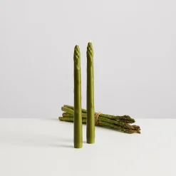 Maison Balzac Table Setting|Tableware Brands^Set of 4 Asparagus Candles