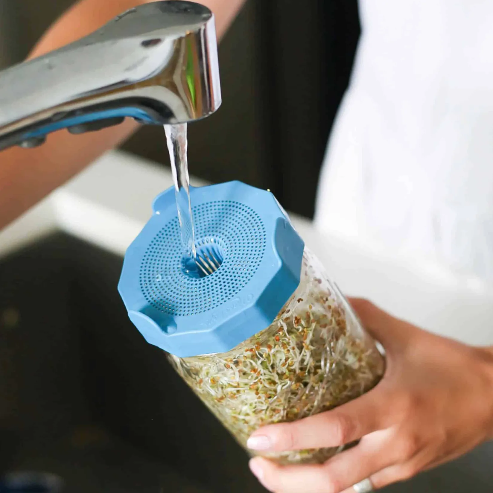 Masontops Pickling, Preserving & Fermenting Jars^Wide Mouth Bean Screens Sprouting Lids, Set of 2