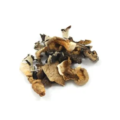 Champiland Ingredients Brands|Italian Ingredients^Mixed Wild Mushrooms, 500g