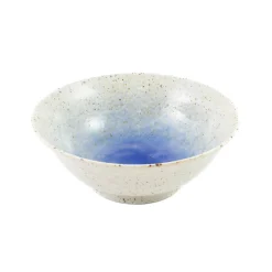 Kiji Stoneware & Ceramics Japanese Ingredients|Japanese Tableware^Mizu Noodle Bowl, 19.5cm