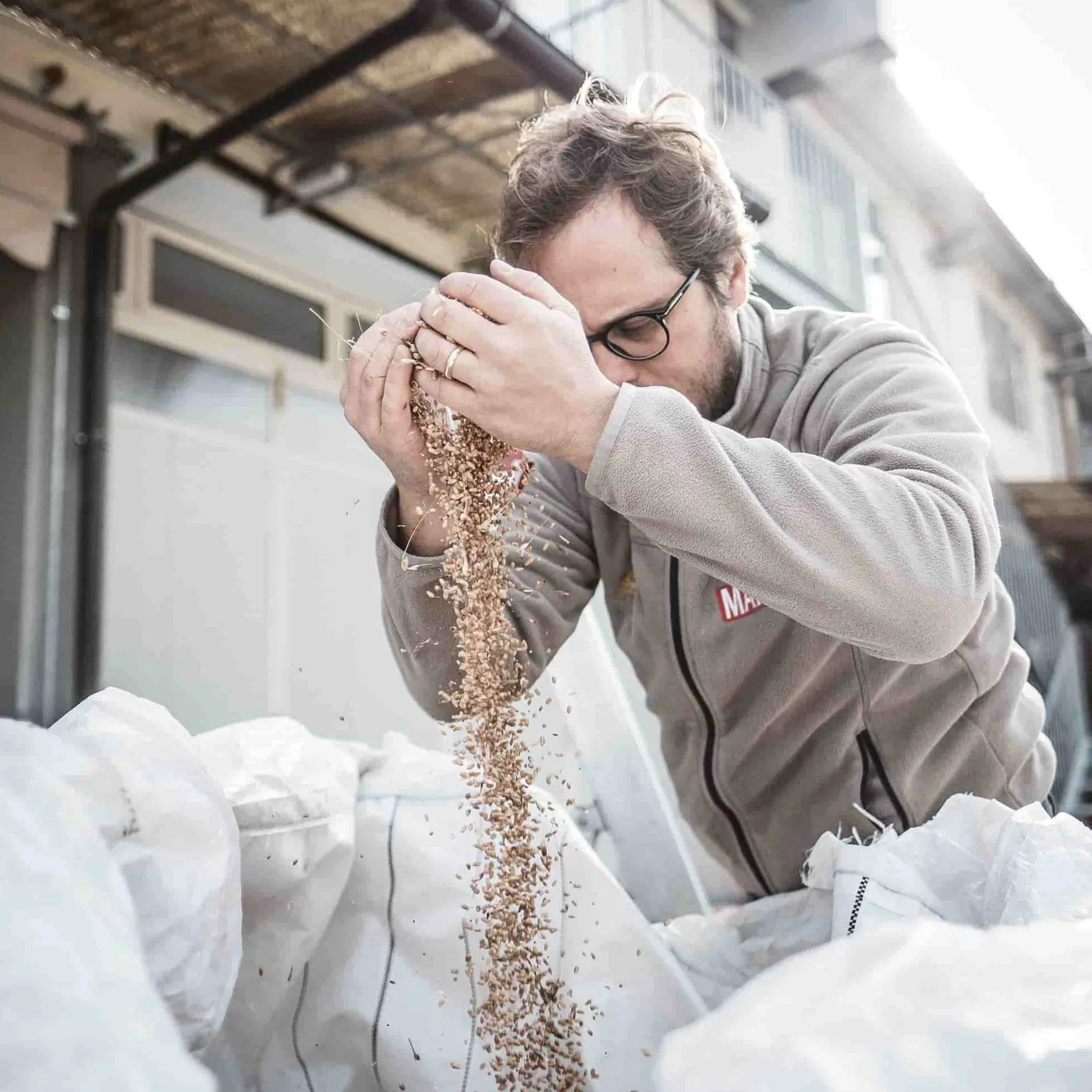 Mulino Marino Ingredients Brands|Italian Ingredients^Organic Enkir (Einkorn) Spelt Grain, 1kg