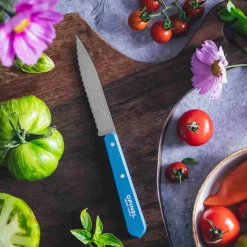Opinel Kitchen Knives^No 113 Blue Beechwood Handle Serrated Paring Knife, 10cm