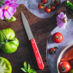 Opinel Kitchen Knives^No 113 Red Beechwood Handle Serrated Paring Knife, 10cm