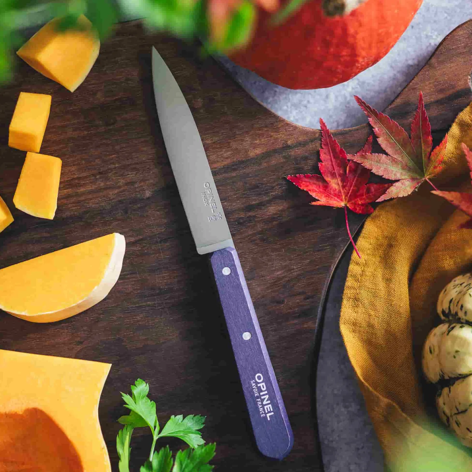 Opinel Kitchen Knives^No 112 Violet Beechwood Handle Paring Knife, 10cm
