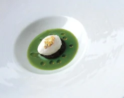 Pariani Ingredients Brands|Italian Ingredients^Roasted Bronte Pistachio Oil, 100ml