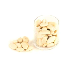 Pariani Ingredients Brands|Italian Ingredients^Sicilian Tuono Almond Size 34/36 Peeled, 1kg