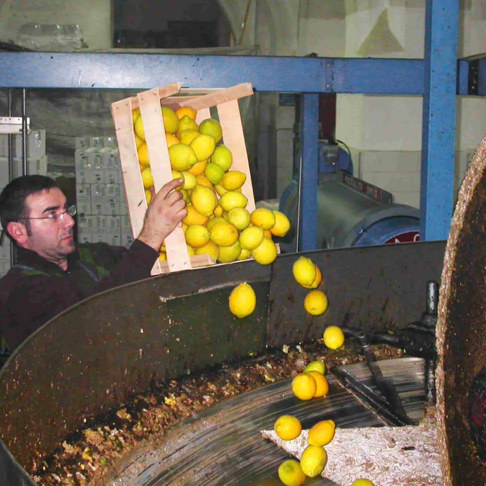 Galantino Italian Ingredients|Extra Virgin Olive Oil^Puglian Olive Oil with Lemon in Terracotta Bottle, 250ml