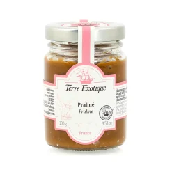 Terre Exotique Ingredients Brands|French Ingredients^Praline Paste, 100g