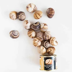 Sabarot Ingredients Brands|French Ingredients^Tinned Snails With Shells, 300g