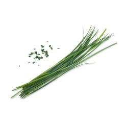 Veritable Tableware Brands|Chinese Ingredients^Asian Lingot Insert, Organic Chinese Chives