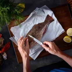 Wusthof Kitchen Knives^Ikon Carving Knife, 20cm